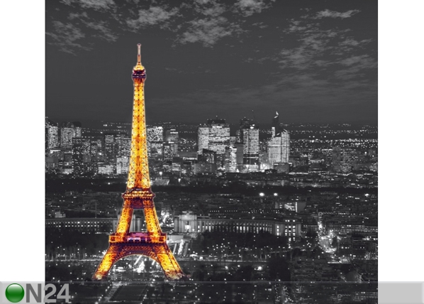 Фотошторы Paris by night, 280x245 см