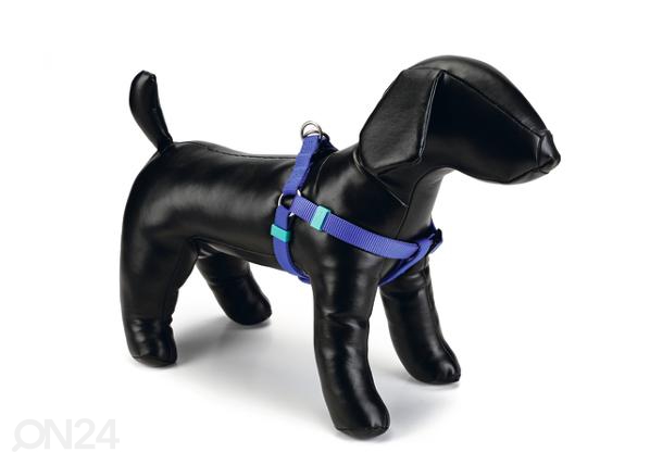 Шлейка для собак нейлоновая застежка на спинке 35-60x15 мм, синяя