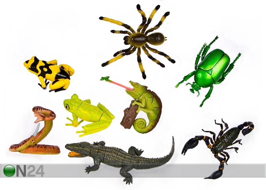 3D pusle Vihmamets, roomajad ja putukad suurendatud