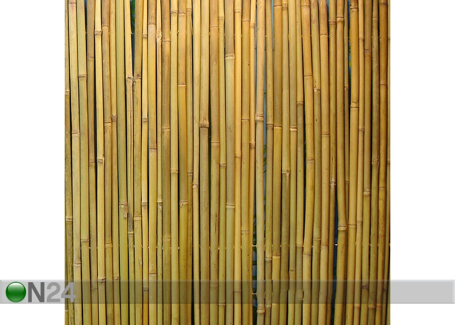 Bambusaed rullis 1x3 m suurendatud