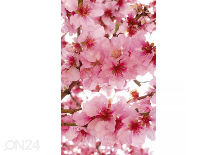 Fliis fototapeet Apple blossom 150x250 cm suurendatud