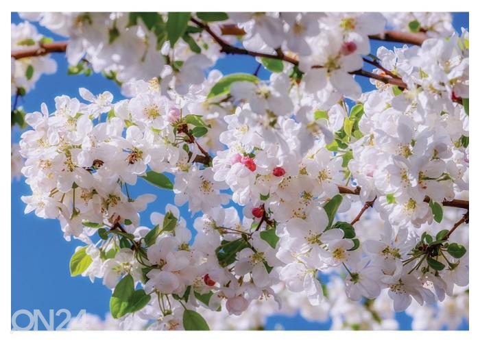 Fliis fototapeet Apple Tree Blossom 416x290 cm suurendatud