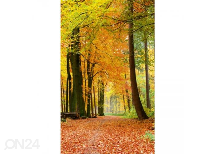 Fliis fototapeet Autumn forest 150x250 cm suurendatud