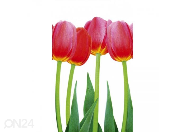 Fliis fototapeet Bed of tulips 150x250 cm suurendatud