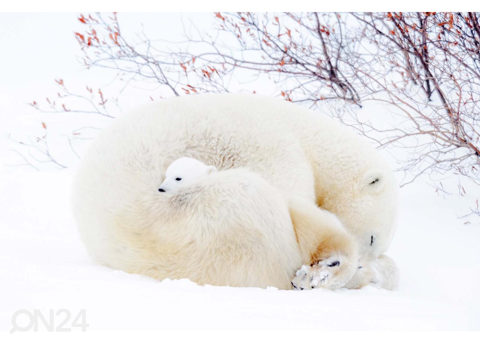 Fliis fototapeet Blue Polar Bears suurendatud
