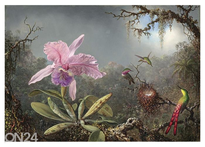 Fliis fototapeet Cattleya Orchid and Three Hummingbirds by Martin Johnson Heade 416x290 cm suurendatud