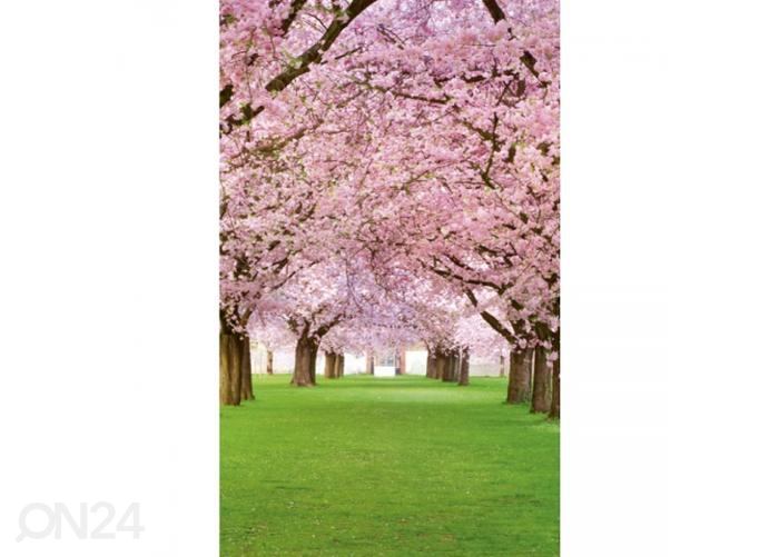 Fliis fototapeet Cherry trees 150x250 cm suurendatud