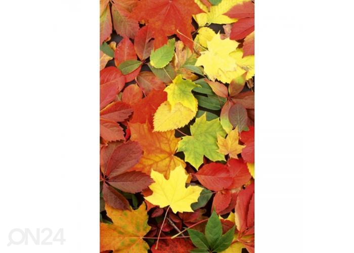 Fliis fototapeet Colourful leaves 150x250 cm suurendatud