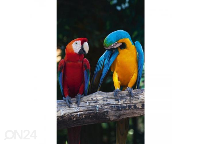 Fliis fototapeet Colourful macaw 150x250 cm suurendatud
