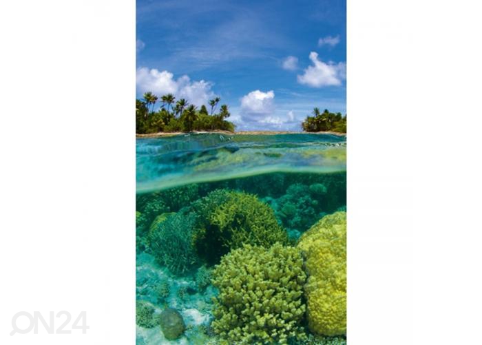 Fliis fototapeet Coral reef 150x250 cm suurendatud