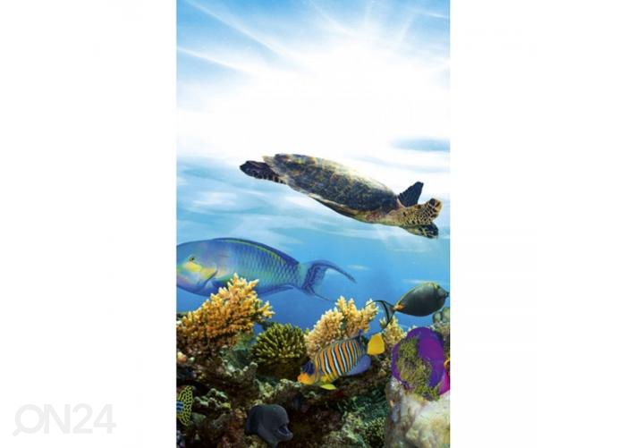 Fliis fototapeet Fish 150x250 cm suurendatud