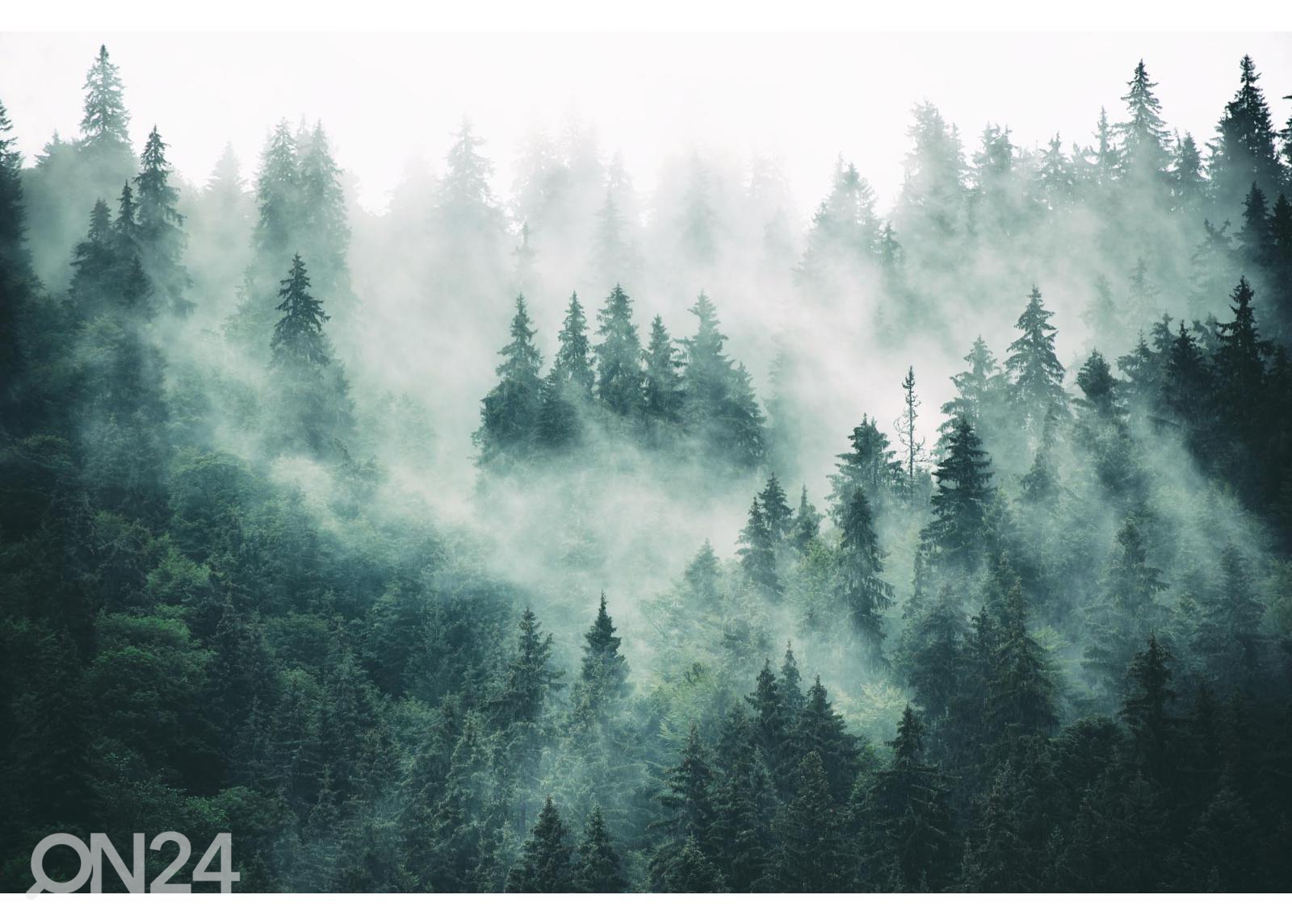 Fliis fototapeet Foggy Forest suurendatud