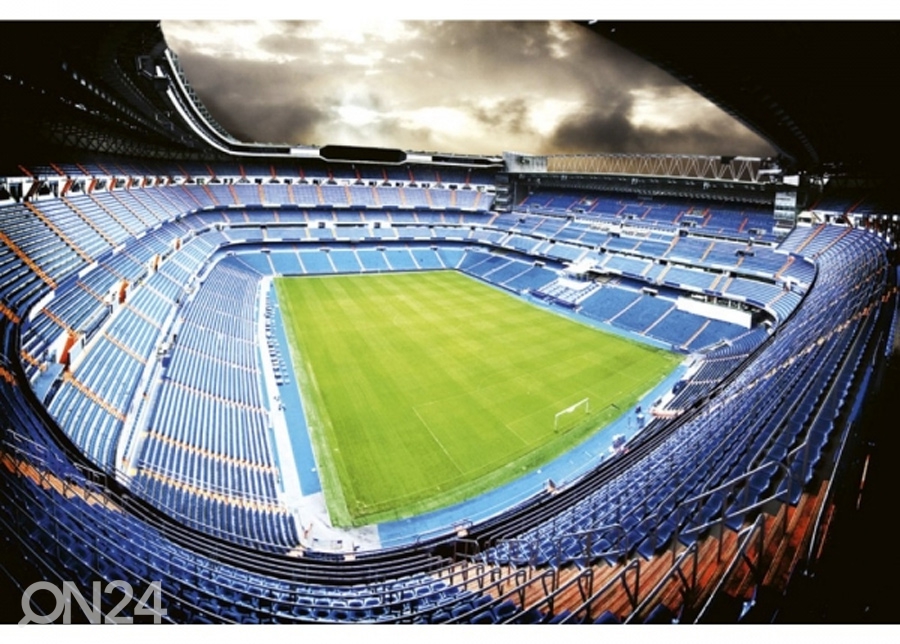 Fliis fototapeet Football stadium 225x250 cm suurendatud
