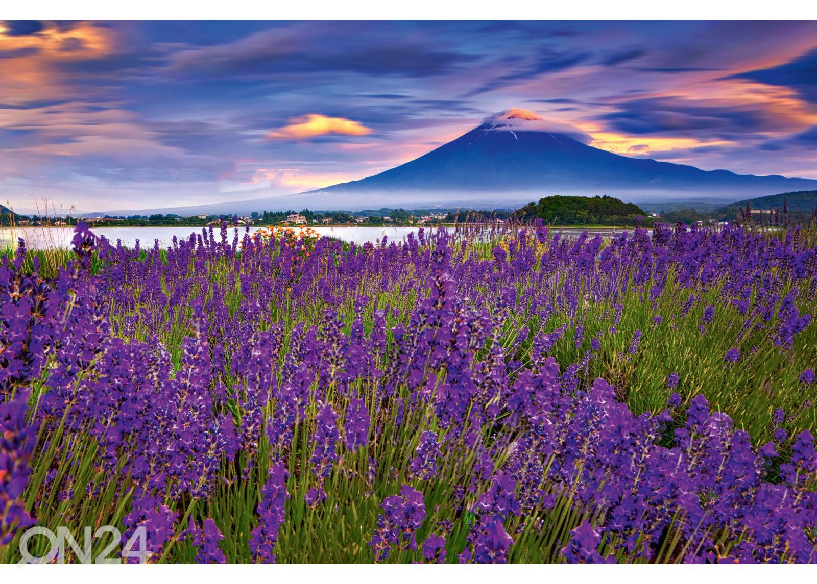 Fliis fototapeet Fuji Mountain And Lavender suurendatud
