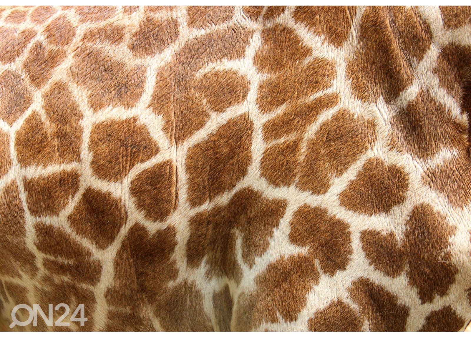 Fliis fototapeet Genuine Leather  Of Giraffe suurendatud