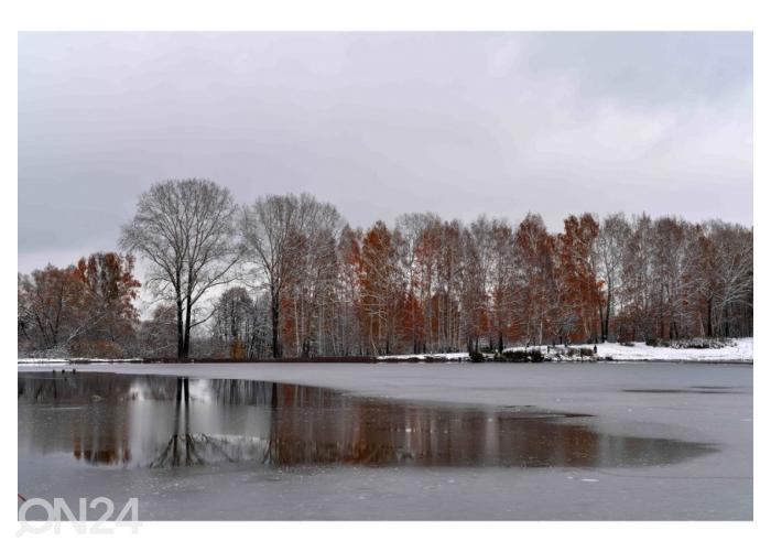 Fliis fototapeet Gloomy Cold October Day in the Autumn Park Near the Lake 416x290 cm suurendatud