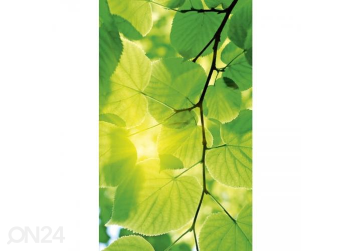 Fliis fototapeet Green leaves 150x250 cm suurendatud