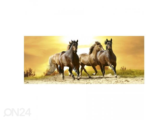 Fliis fototapeet Horses in sunset 150x250 cm suurendatud