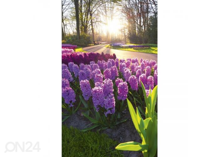 Fliis fototapeet Hyacint flowers 150x250 cm suurendatud