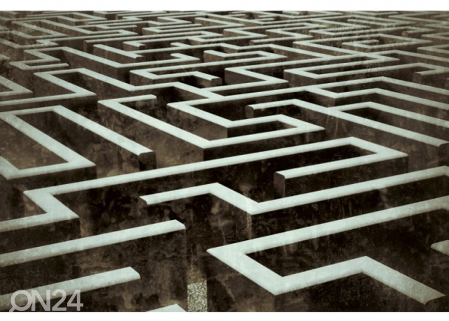 Fliis fototapeet Labyrinth 150x250 cm suurendatud