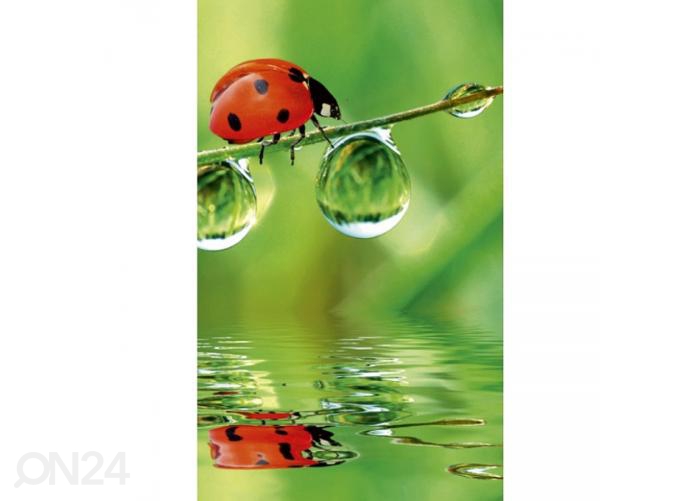 Fliis fototapeet Ladybird 150x250 cm suurendatud