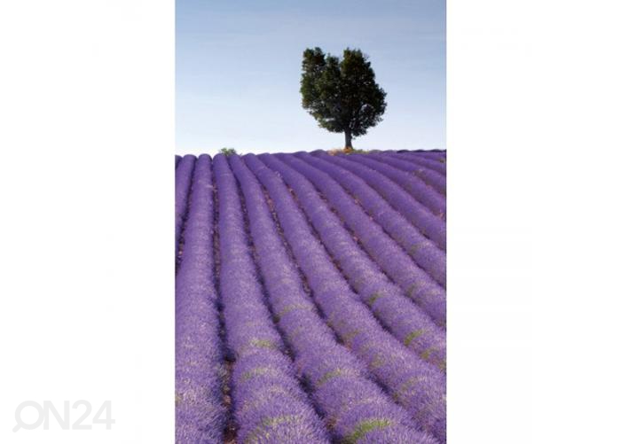 Fliis fototapeet Lavender field 150x250 cm suurendatud