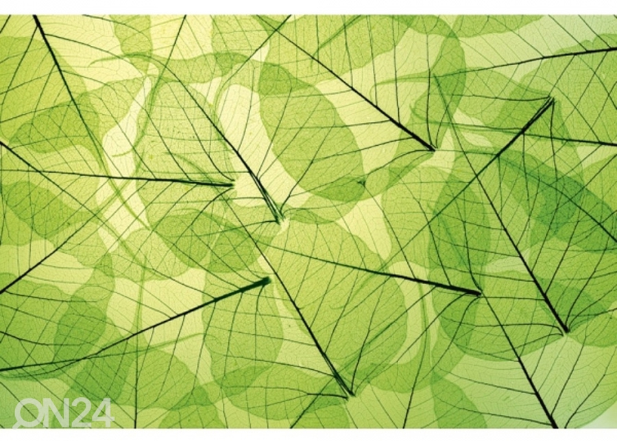 Fliis fototapeet Leaf veins 150x250 cm suurendatud