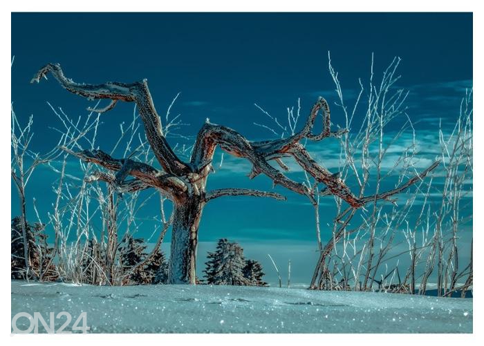 Fliis fototapeet Lonely Winter Night Tree 400x260 cm suurendatud