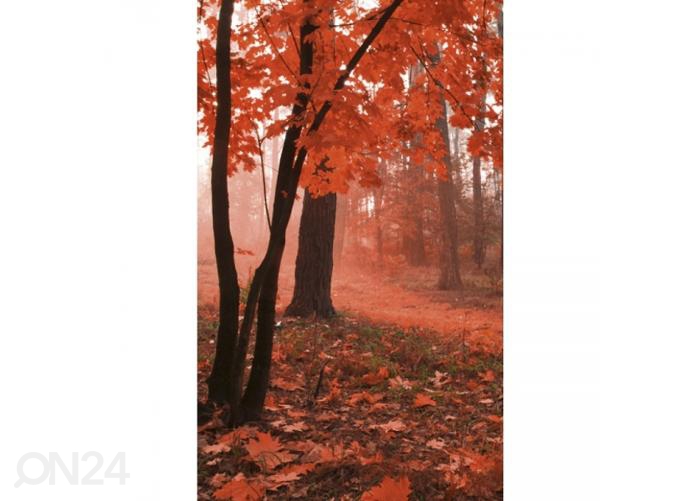 Fliis fototapeet Misty forest 150x250 cm suurendatud