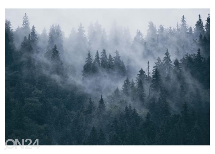 Fliis fototapeet Misty Mountain Landscape 416x290 cm suurendatud