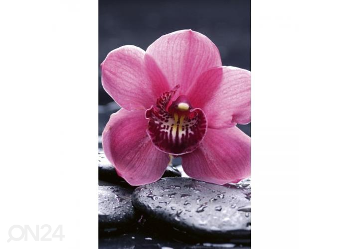 Fliis fototapeet Orchid 150x250 cm suurendatud