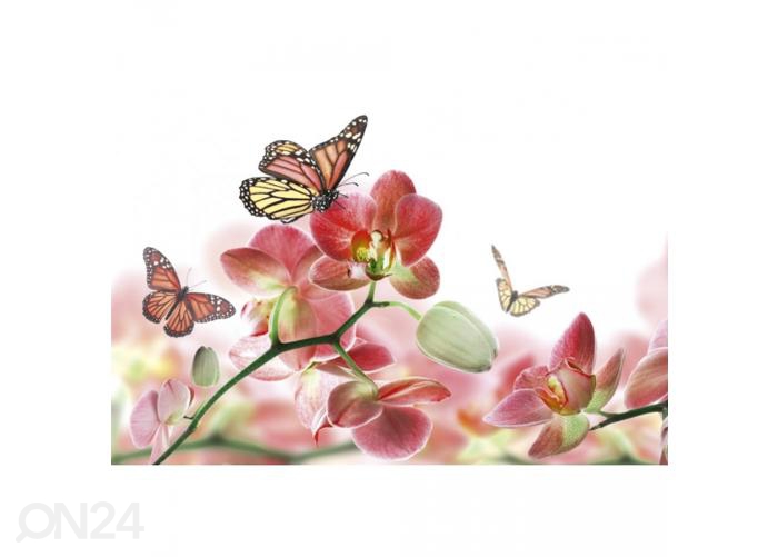 Fliis fototapeet Orchids and butterfly 375x250 cm suurendatud
