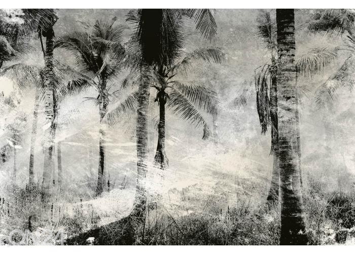 Fliis fototapeet Palm Trees Abstract 150x250 cm suurendatud