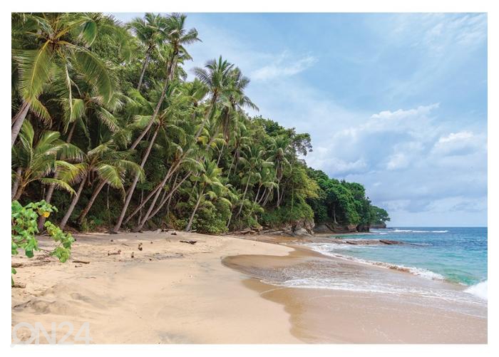 Fliis fototapeet Playa Blanca, Saboga, Panama 368x254 cm suurendatud