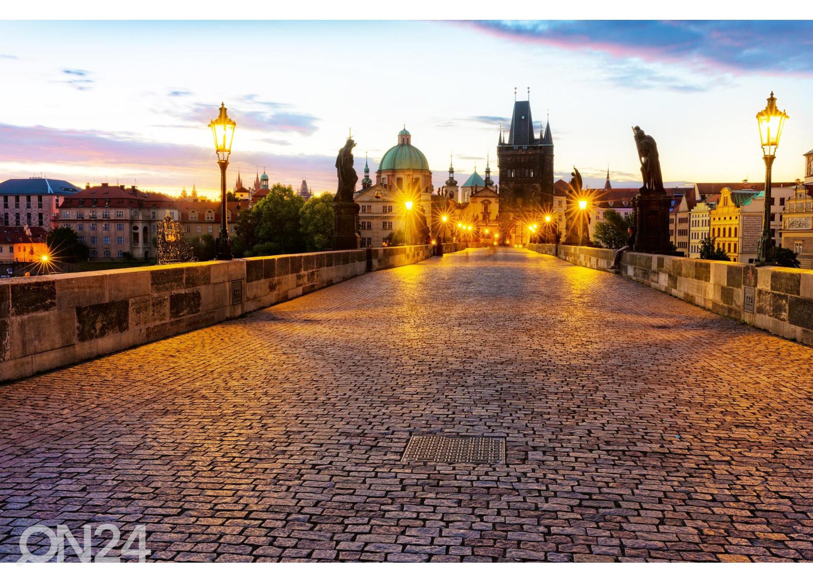 Fliis fototapeet Prague Bridge suurendatud