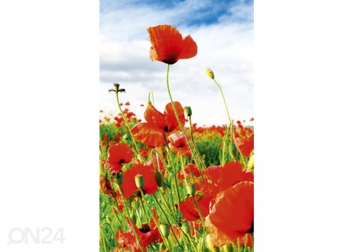 Fliis fototapeet Red poppies 150x250 cm suurendatud