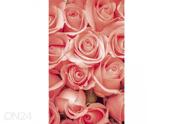 Fliis fototapeet Roses 150x250 cm suurendatud