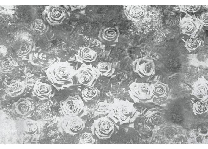 Fliis fototapeet Roses Abstract II 150x250 cm suurendatud