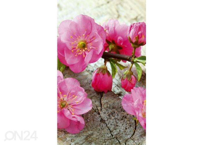 Fliis fototapeet Sakura 150x250 cm suurendatud