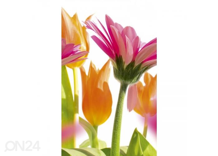 Fliis fototapeet Spring flowers 150x250 cm suurendatud