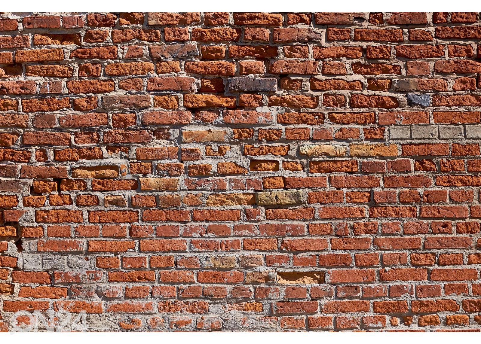 Fliis fototapeet Texture Of An Old Brick Wall suurendatud