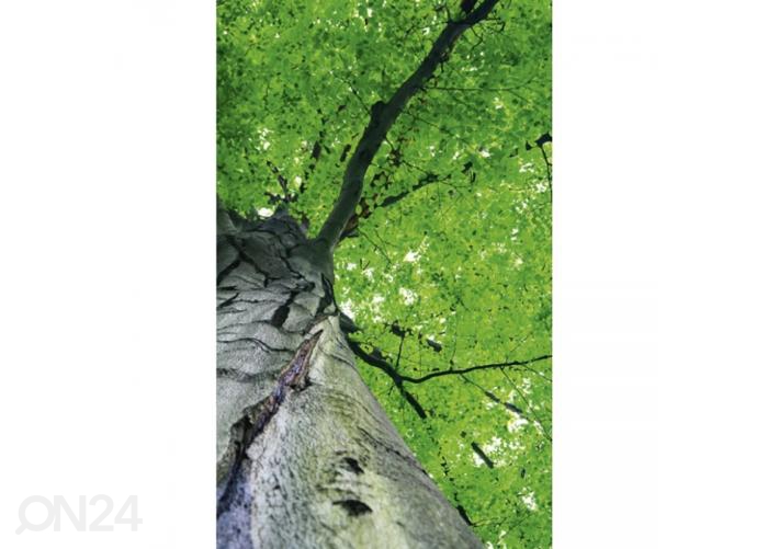 Fliis fototapeet Treetop 150x250 cm suurendatud