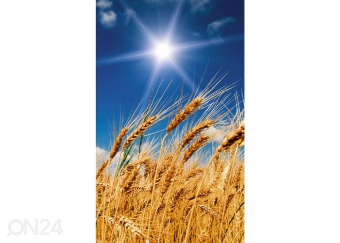 Fliis fototapeet Wheat field 150x250 cm suurendatud