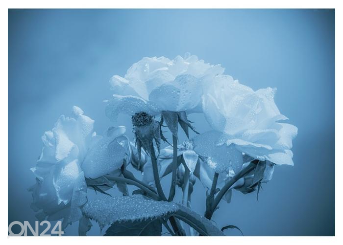 Fliis fototapeet White Flower with Water Drops 368x254 cm suurendatud