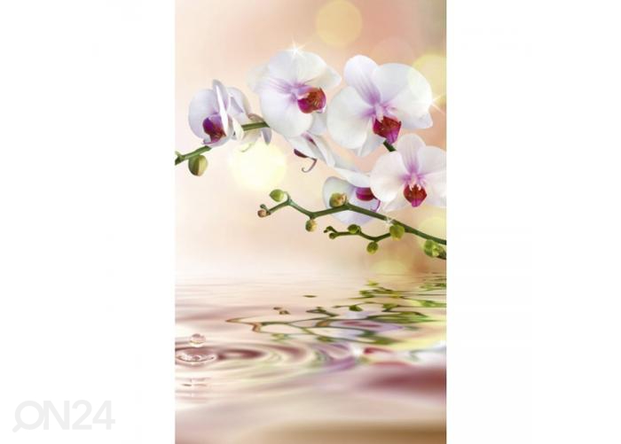 Fliis fototapeet White orchid 150x250 cm suurendatud