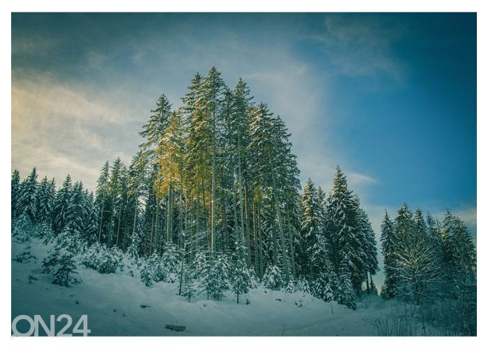 Fliis fototapeet Winter Forest 368x254 cm suurendatud