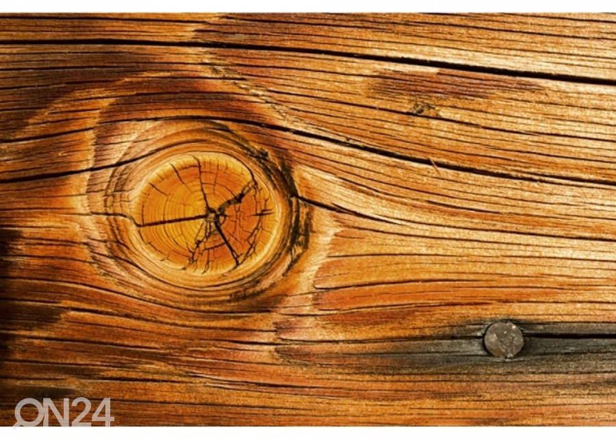 Fliis fototapeet Wood knot 150x250 cm suurendatud