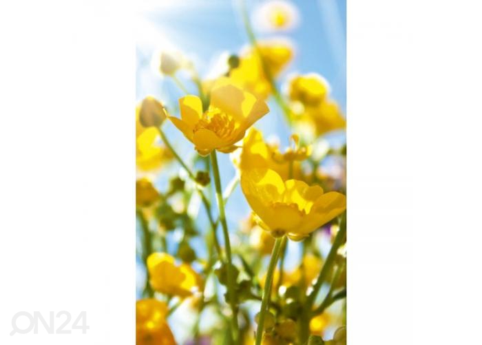 Fliis fototapeet Yellow flowers 150x250 cm suurendatud