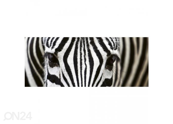 Fliis fototapeet Zebra 375x150 cm suurendatud