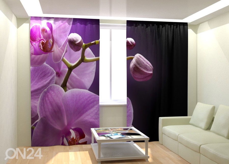 Fotokardinad Orchid in the night 300x260 cm suurendatud